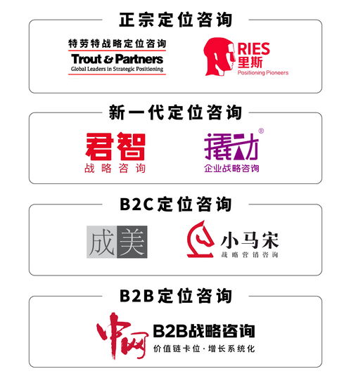 戰(zhàn)略咨詢與技術(shù)開(kāi)發(fā)雙輪驅(qū)動(dòng) 解鎖企業(yè)高效決策實(shí)戰(zhàn)路徑